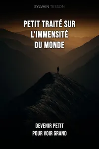 Couverture de 'Petit traite immensite'
